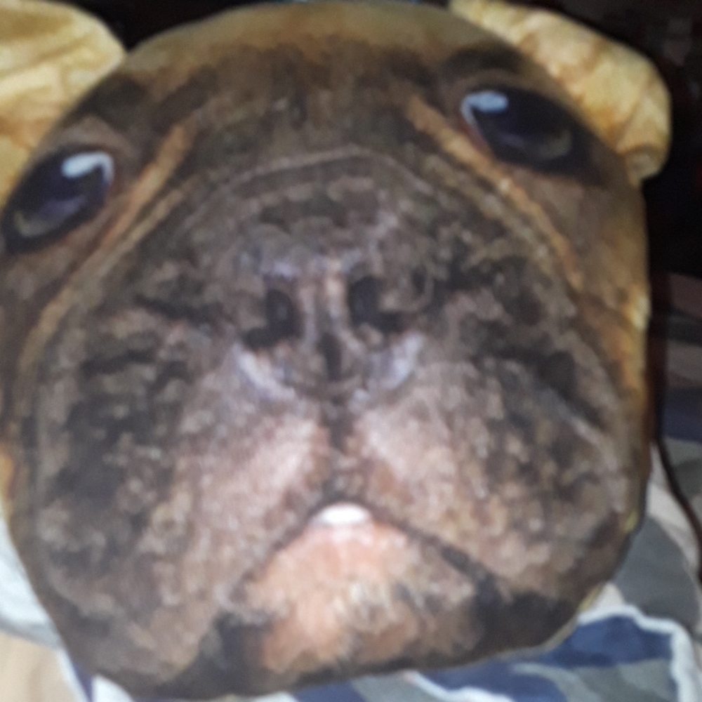 Dog pillow